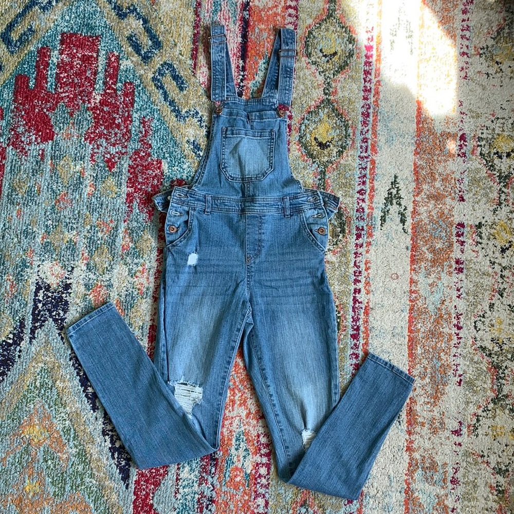 True craft denim overalls, medium wash, long